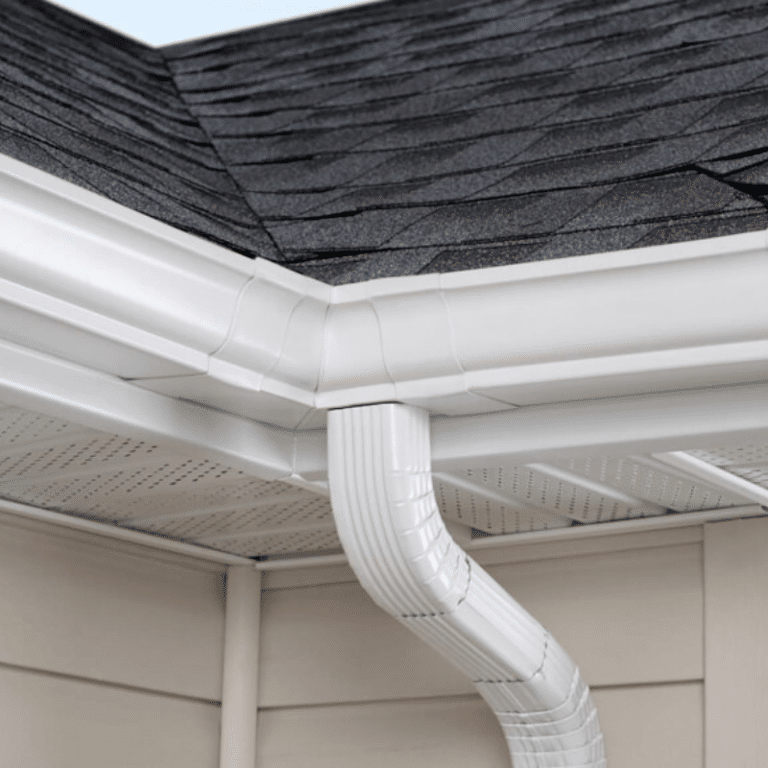 Gutter Cleaning