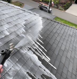 roof cleaning hero