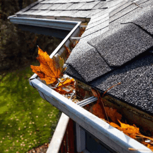 Gutter Clean Out