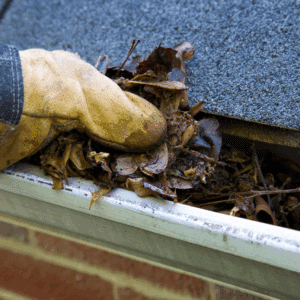 Gutter Clean Out Company