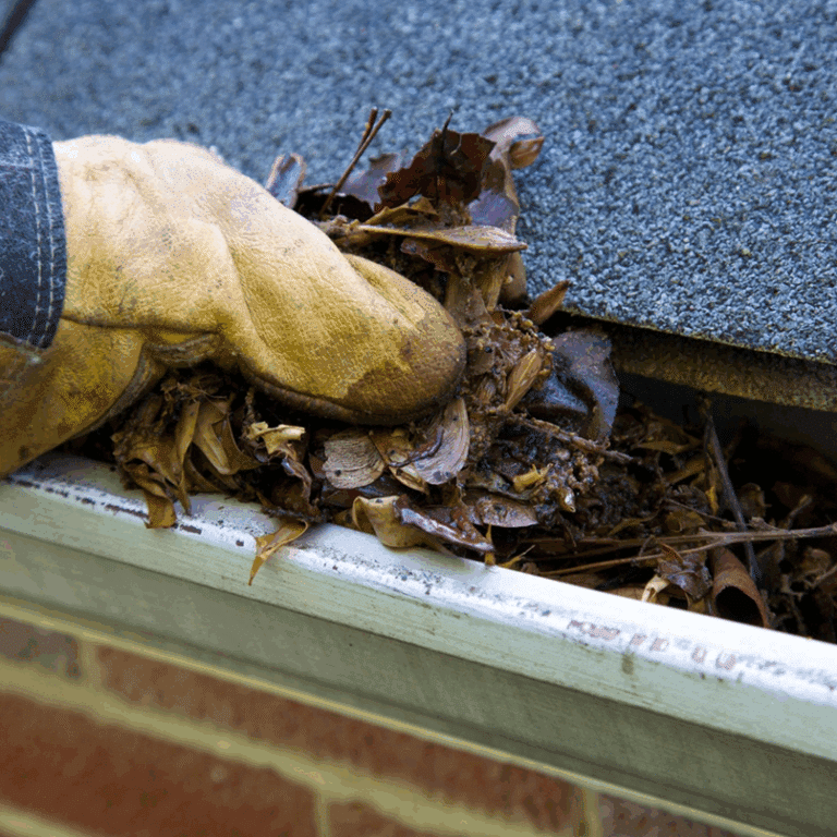 Gutter Clean Out Company