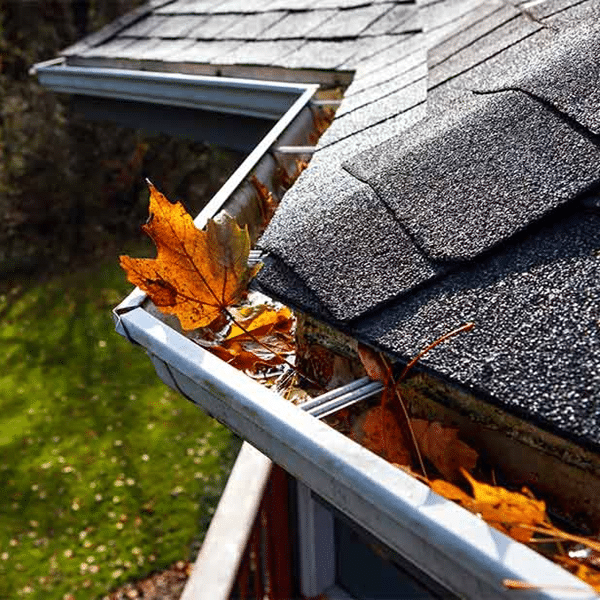 Gutter Clean Out