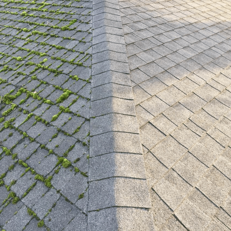 Roof-Wash-Moss-Removal