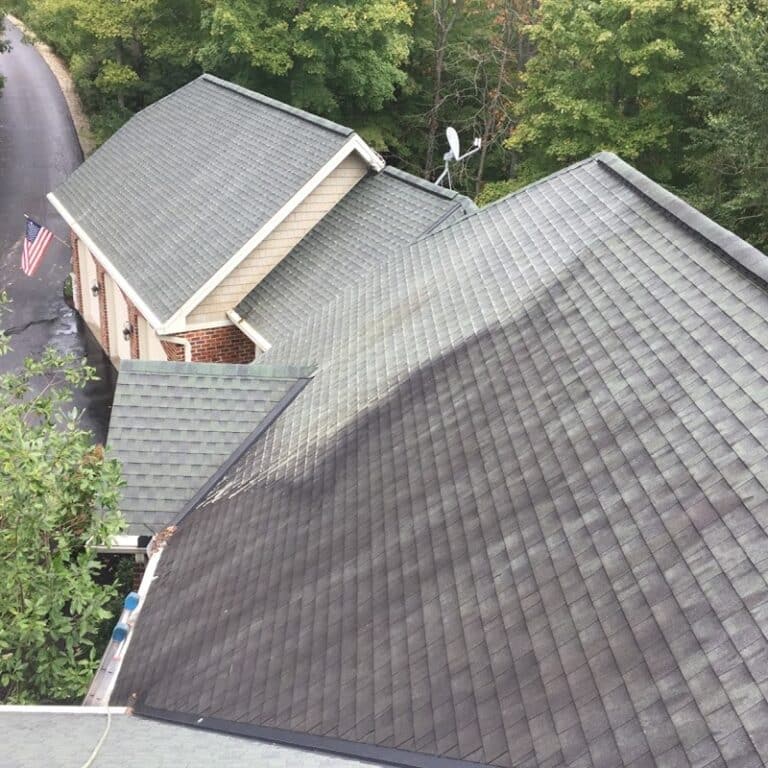 roof cleaning company