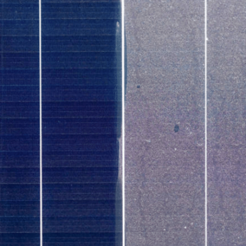 Solar Panel Cleaning Company